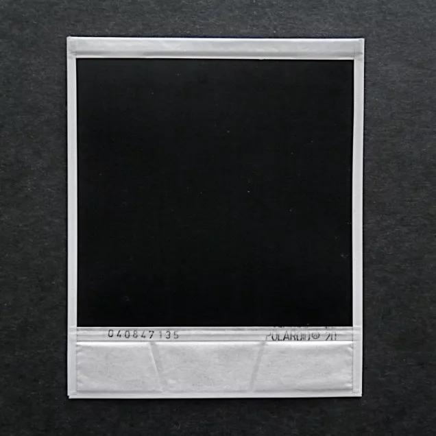 Dennis Jelonnek sur la pratique du Polaroid de Robert Heinecken