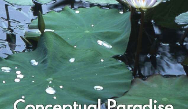 Projection de film Conceptual Paradise de Stefan Römer