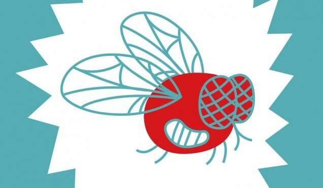 A LA RECHERCHE DE SUPERMAINS