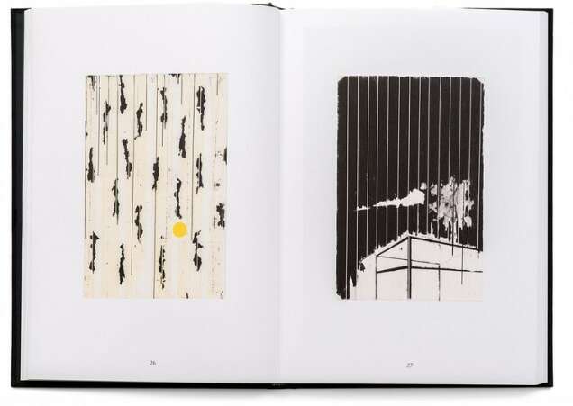 Signature Harold Ancart Soft Places Triangle Books 2