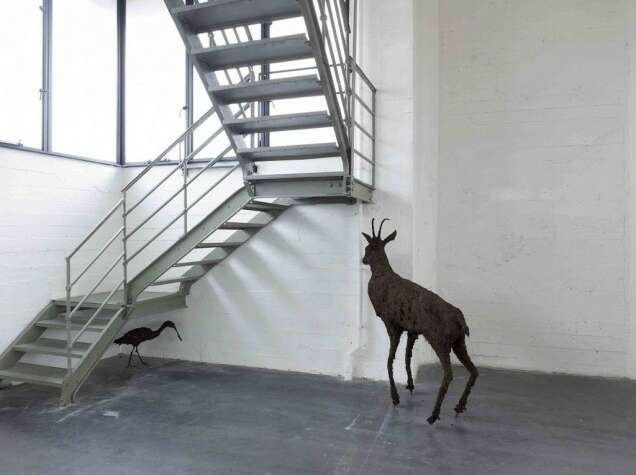 Petrit Halilaj Poisoned by men in need of some love7