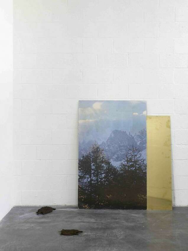 Petrit Halilaj Poisoned by men in need of some love9