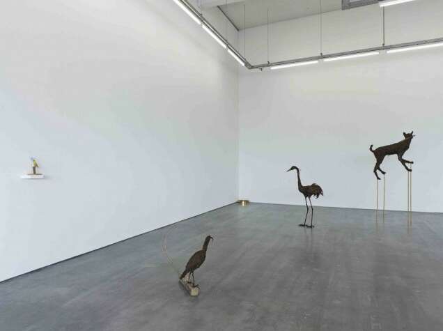 Petrit Halilaj Poisoned by men in need of some love4