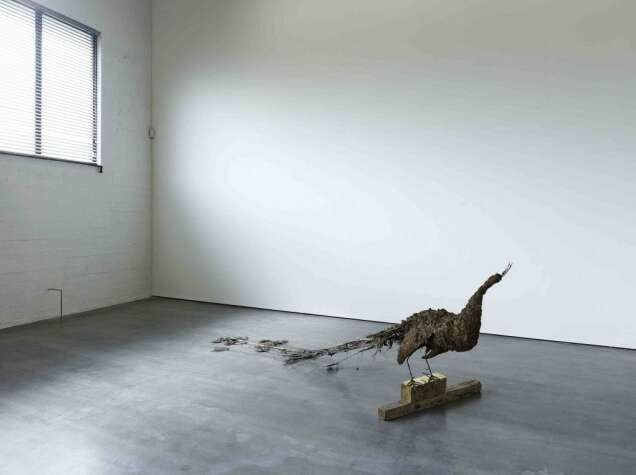 Petrit Halilaj Poisoned by men in need of some love5