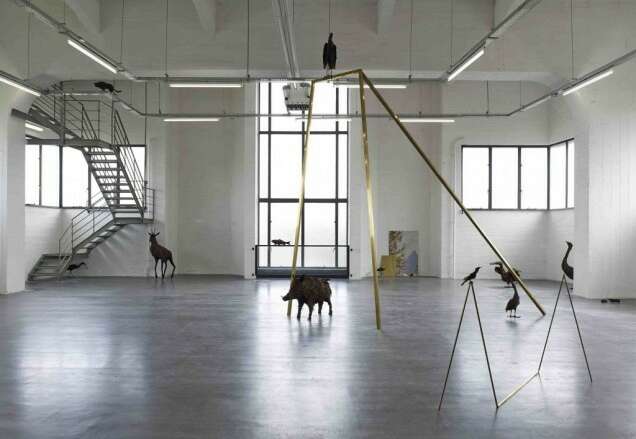 Petrit Halilaj Poisoned by men in need of some love6