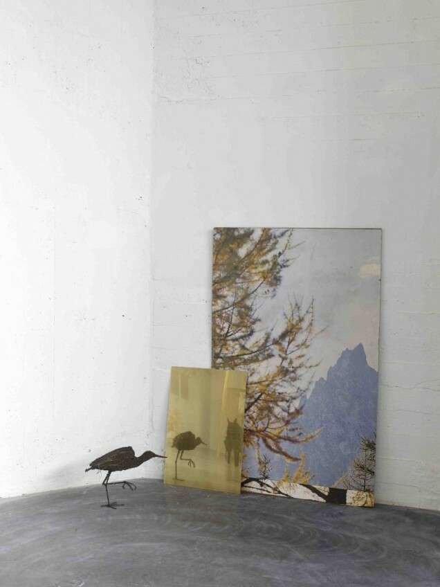 Petrit Halilaj Poisoned by men in need of some love8