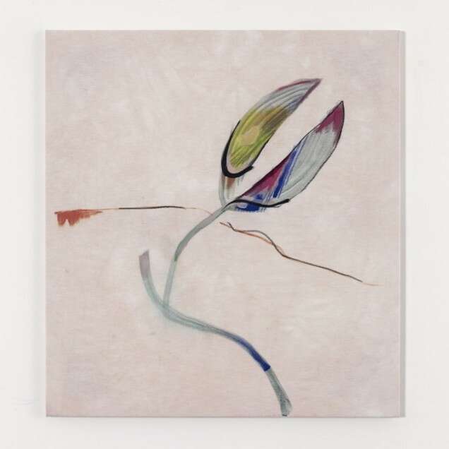 Robin Vanbesien duty bound away from the keyboard of the screen of my face7