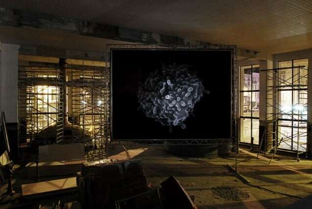 Simon Starling 1