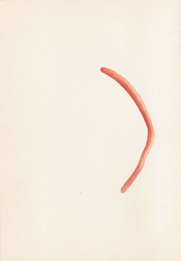 Gwendolyn Lootens résidence Wiels