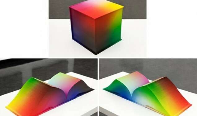 Tauba Auerbach contemporary art