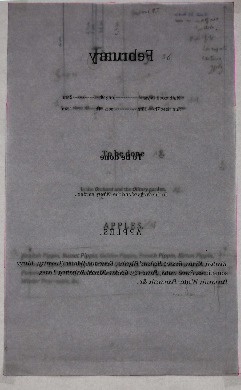 Emmanuelle Quertain hedendaagse kunst Brussel