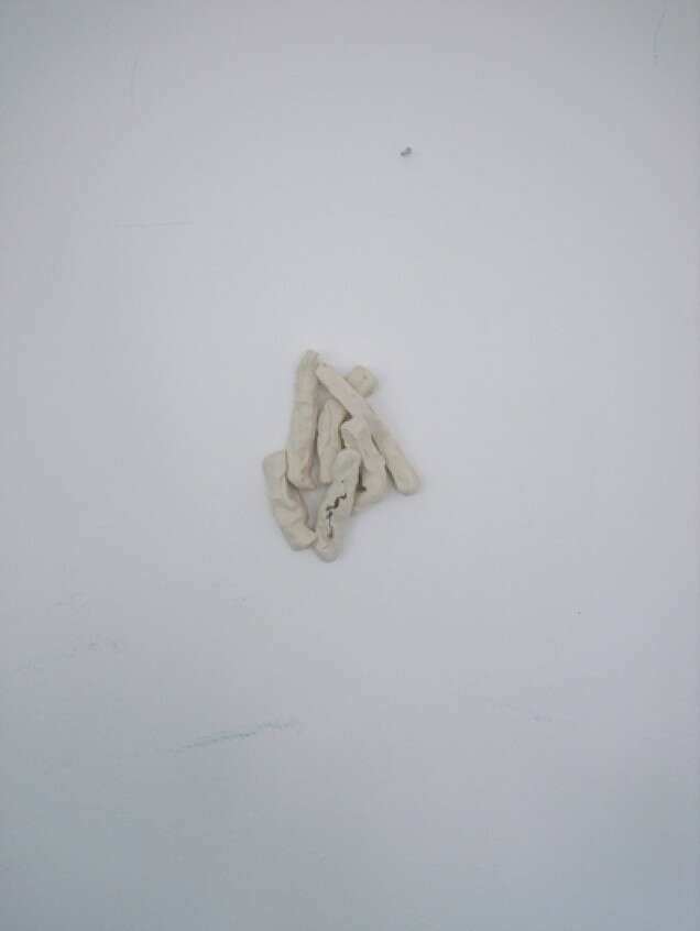 Jutta Zimmermann Wiels residency