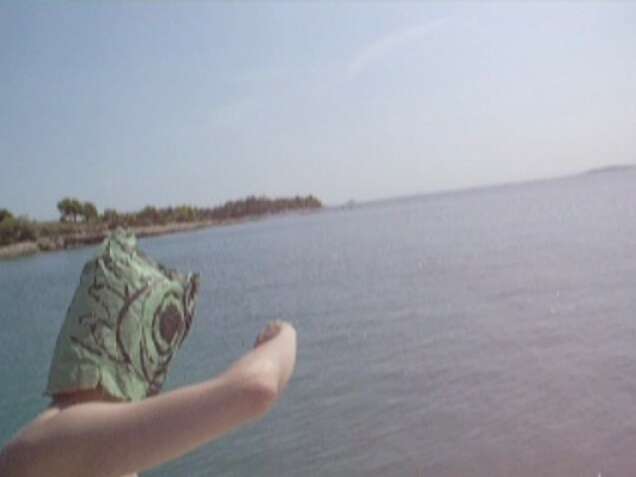 Jutta Zimmermann Wiels résidence