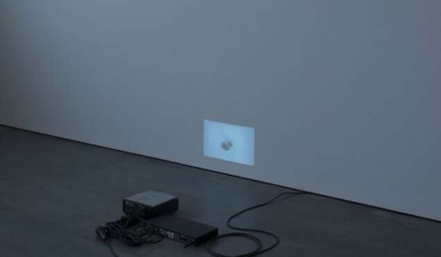 Conférence de Paul Willemsen sur Joëlle Tuerlinckx