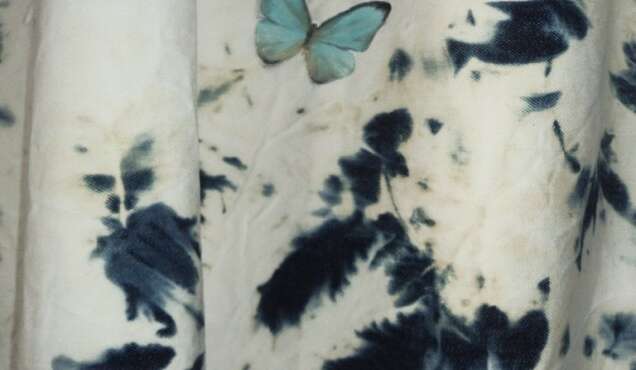 Présentation de livre Michael Van den Abeele A Toast to the Ghost the Host 19h