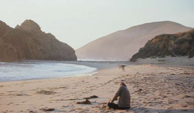 French Theory réception dans les arts visuels aux états Unis entre 1965 et 1995