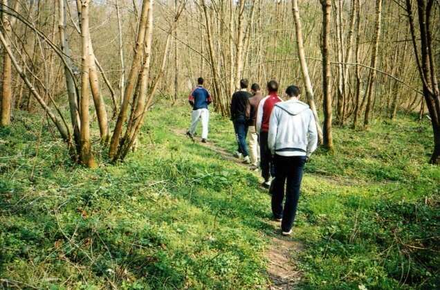 Vincen Beeckman COUSINS