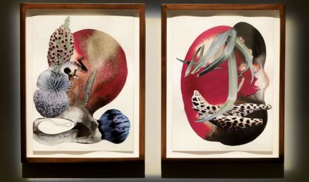 Contredire le stéréotype les oeuvres de W Mutu comme ancrage dune historicité contemporaine