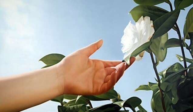 The Public School Beyond Paradise