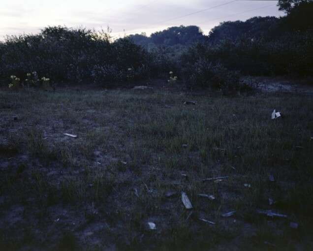 Benefit Auction Party 14