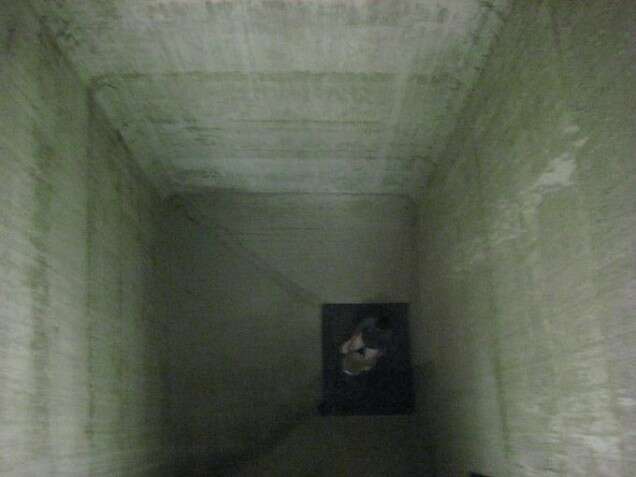 Performatik Messieurs Delmotte Vaast Colson Dennis Tyfus 1