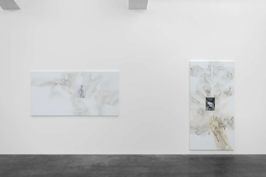 Are Blytt Wiels hedendaags kunstencentrum