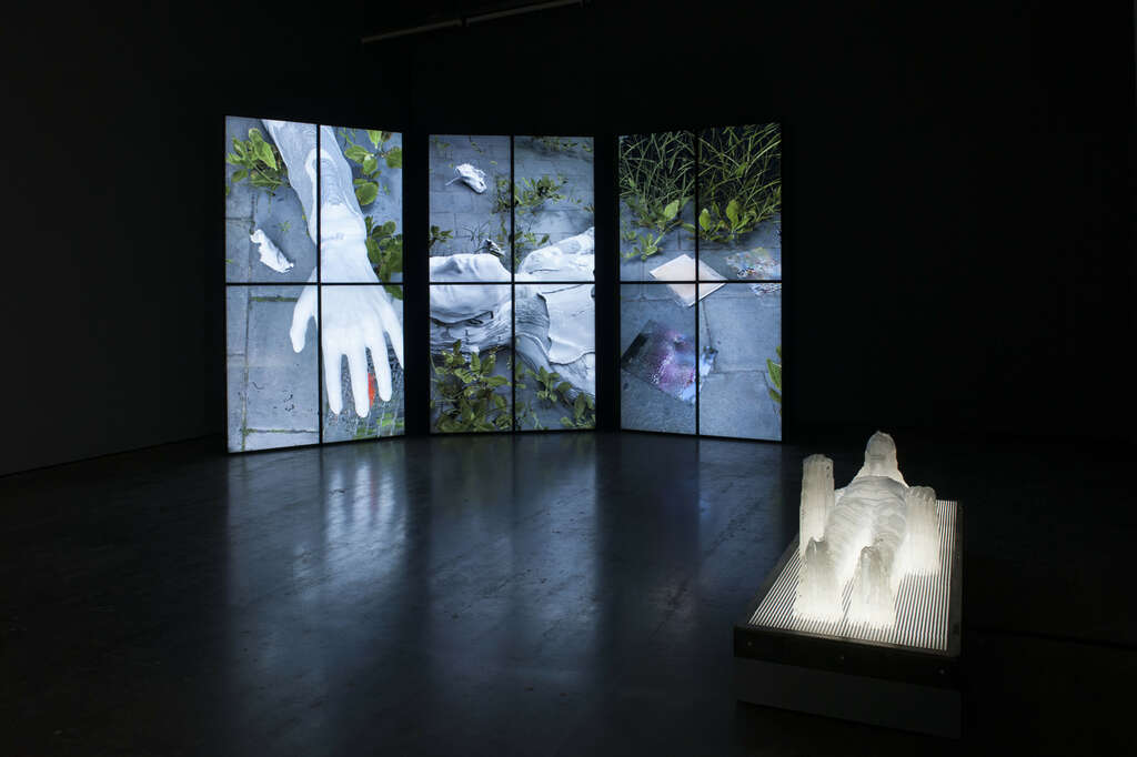 2702 Regenerate Installationviews Philippe De Gobert