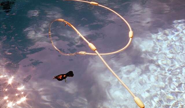 Microsoft Teams image