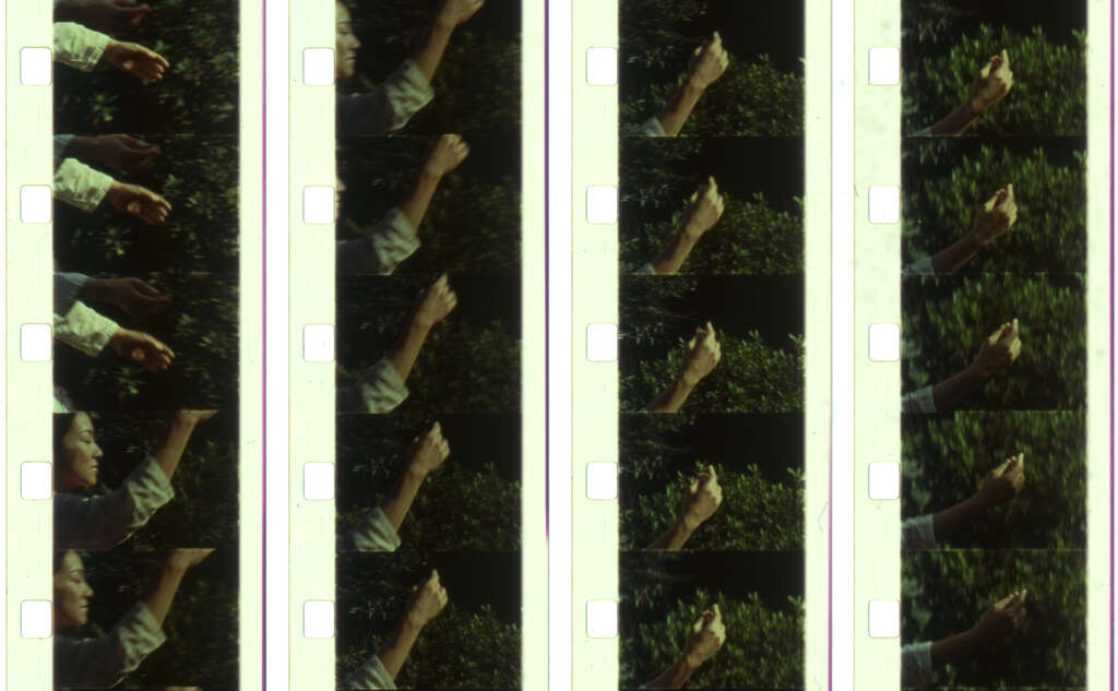 20 Meihodo film strips JPG