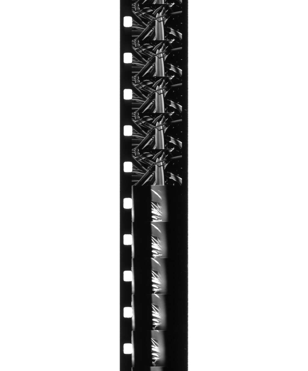 16 Excerpts II film strip white space p1fbm8vla8sit1nd41l4s1p0hmi