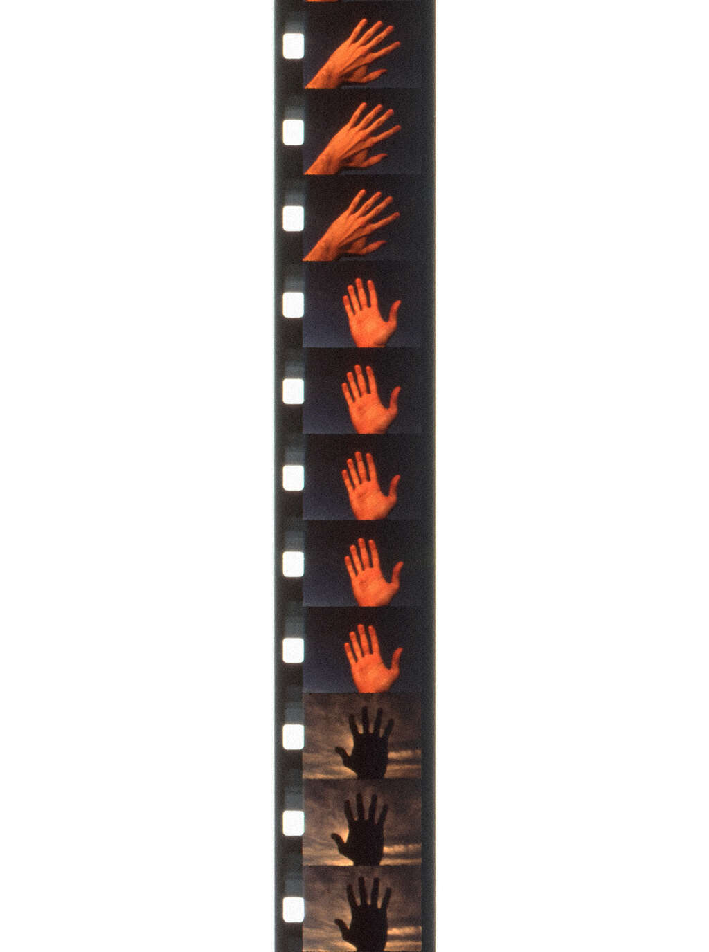 22 Twelve Seasonal Films film strip white space JPG