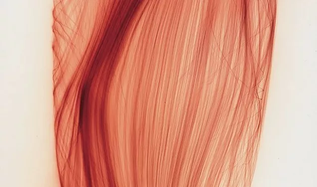 Conférence d Alexander Streitberger sur loeuvre de Wolfgang Tillmans FR