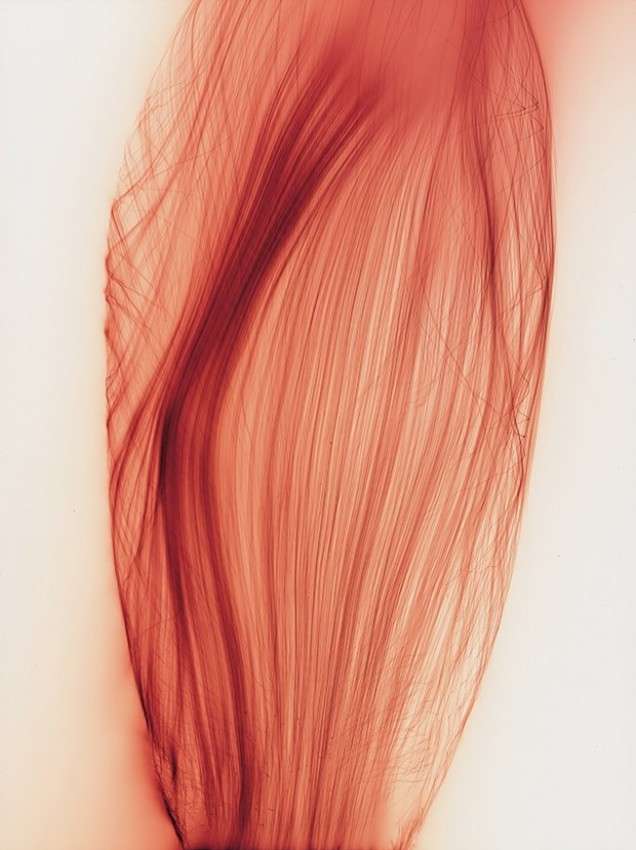 Conférence d Alexander Streitberger sur loeuvre de Wolfgang Tillmans FR