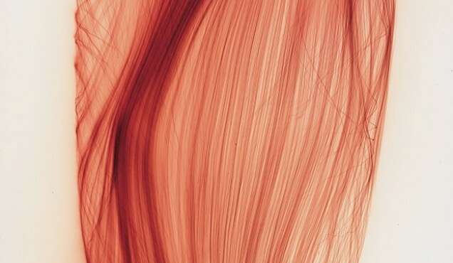 Conférence d Alexander Streitberger sur loeuvre de Wolfgang Tillmans FR