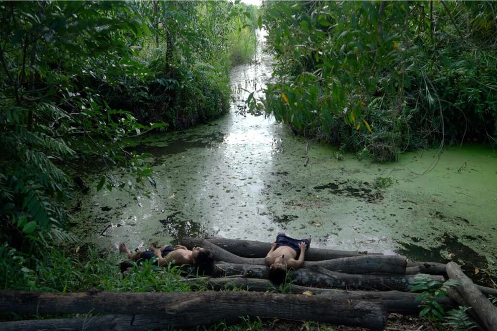 Monsoon melody landscape