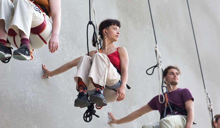 20210611 Flies Renato Misckolczi Tine DECLERCK LR8