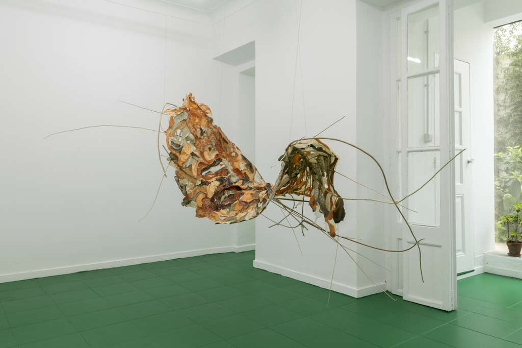 Esther Gaton nova2