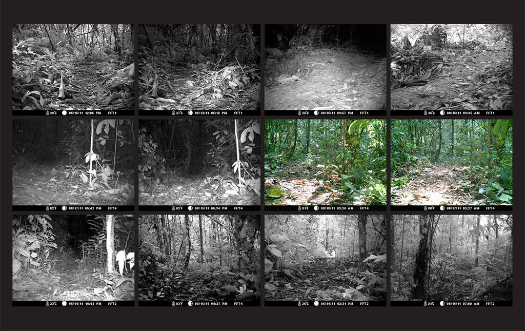 4 Emancipated Shutter Video stills Nancy La Rosa