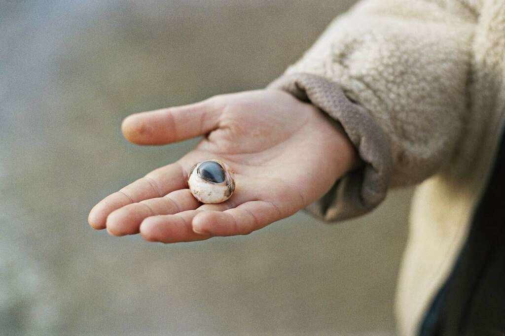 Cpicquot Series Salut Soleil