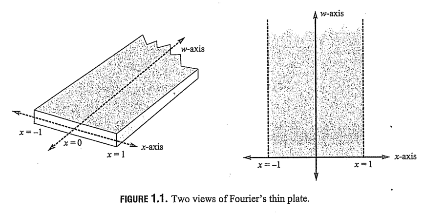 Wiels image 1