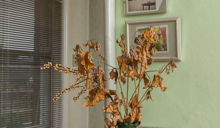 221031 Marc Camille Chaimowicz Cabinet Galley 0242