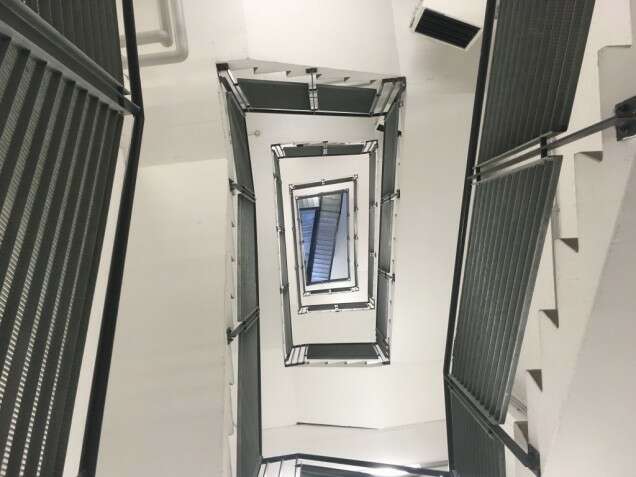 Performatik 2019 Ula Sickle HYOID 1