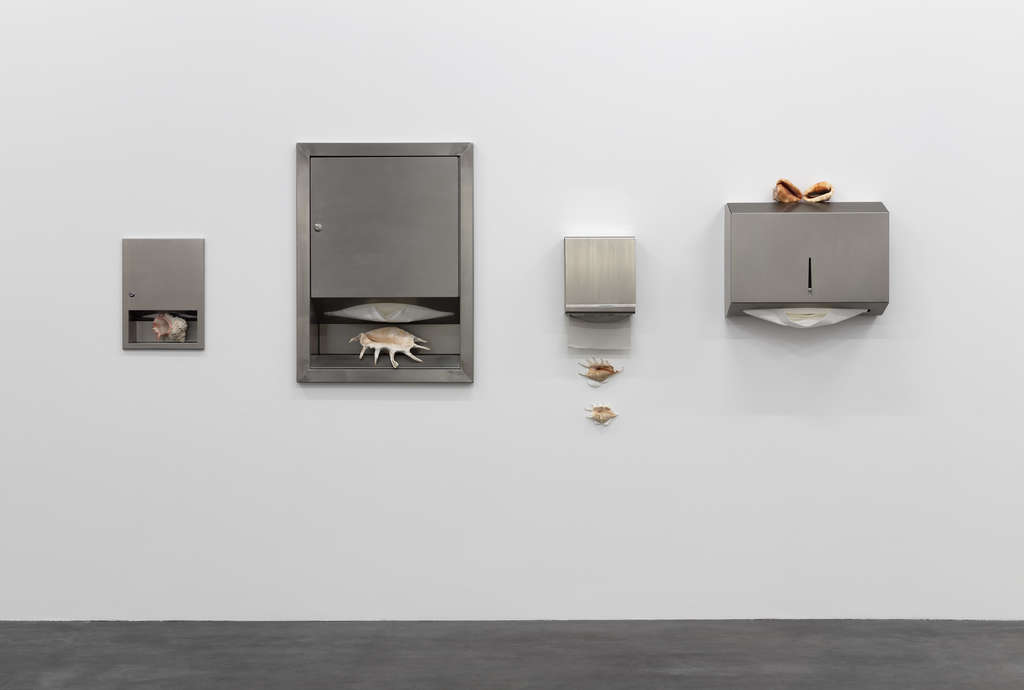 2019 GK WIELS 2 F 11