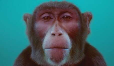 Filem On Festival 2018