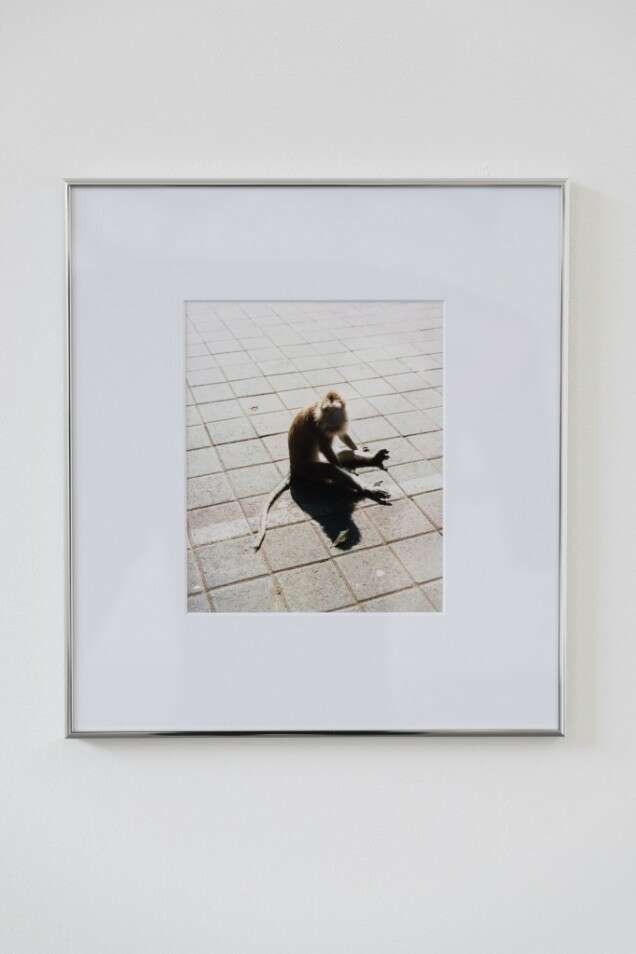 Pedro Ramos Communal Kitchen 1